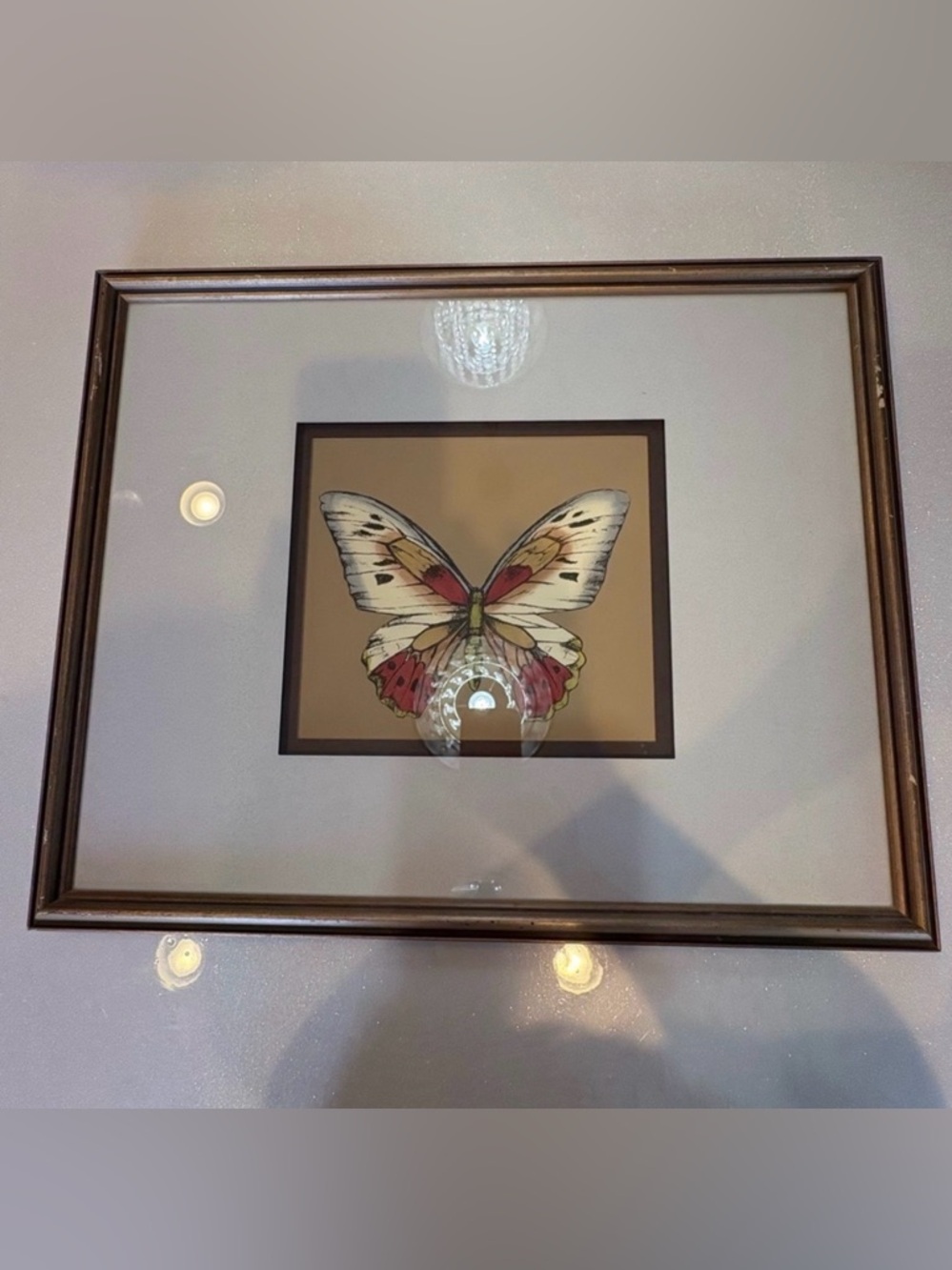 Butterfly Wall Art Double Matted Pewter Frame Glass